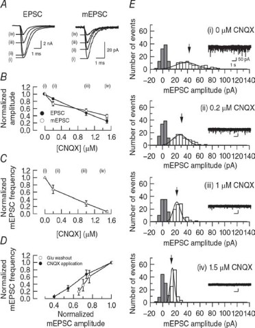 cmsfu FY2016 Annual Report fig3