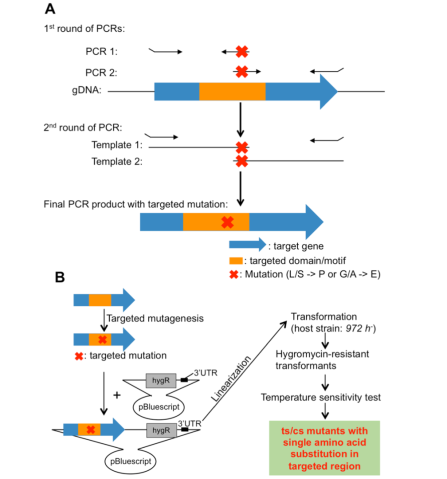 g0 FY2019 Annual Report Figure 3