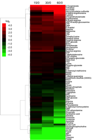g0 FY2013 Annual Report Figure 1