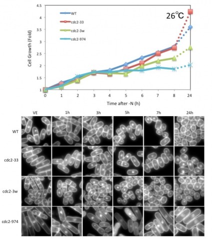 g0 FY2012 Annual Report Figure 1