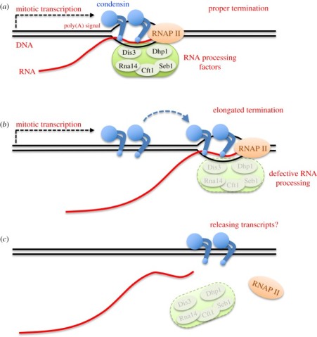 g0 FY2019 Annual Report Figure 2