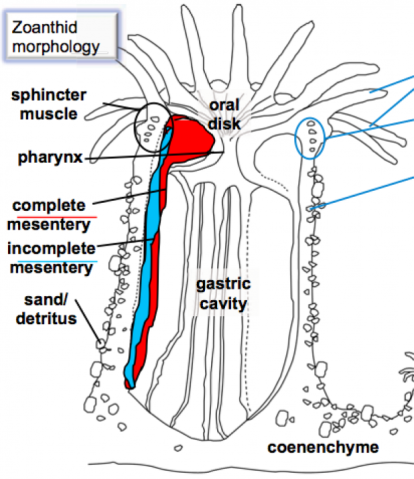 mbsmu FY2011 Annual Report 04