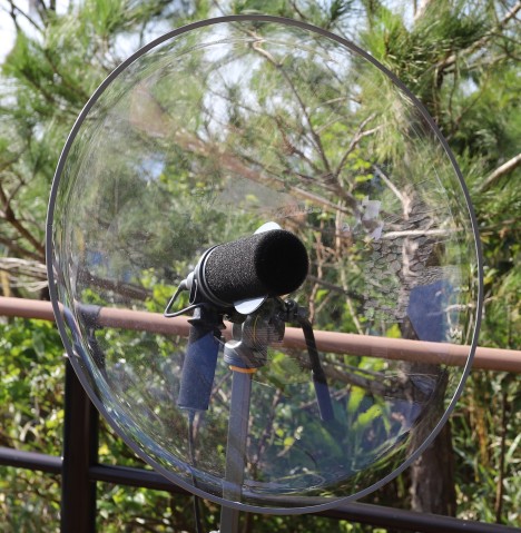 Parabolic microphone with 22" dish, hand handle, and tripod mount.