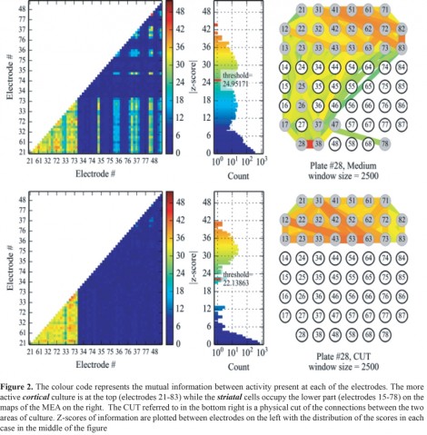 bmbu FY2014 Annual Report 3