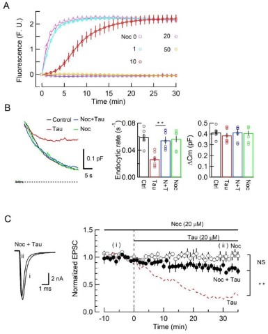 cmsfu FY2021 Annual Report 5