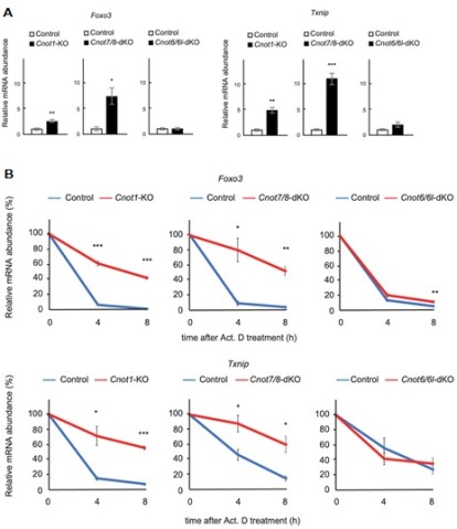 csu FY2019 Annual Report 3.3 Figure 6