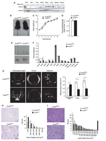 csu FY2017 Annual Report 3.1 Figure 1