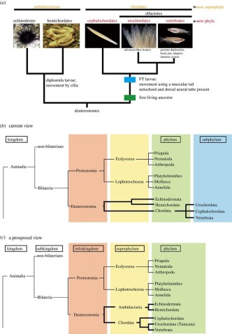 mgu FY2014 Annual Report 3.1 fig1