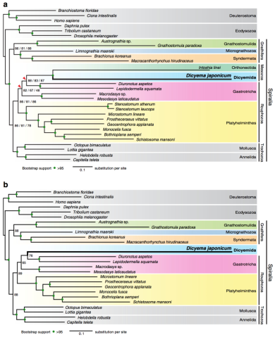 mgu FY2017 Annual Report 3.2 fig2.2