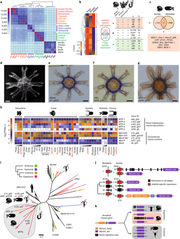 mgu FY2019 Annual Report 5.1 fig2