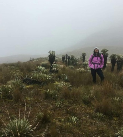 mmu Members Maria Lucia Reyes Suarez