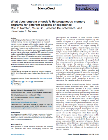 mru_NambuCurrentOpinionNeurobiology2022