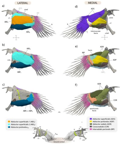 nnp FY2022 Annual Report 05