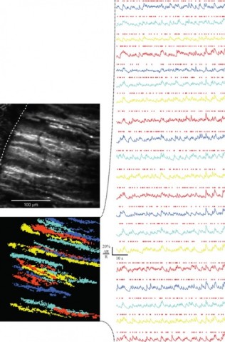 onu FY2012 Annual Report 5