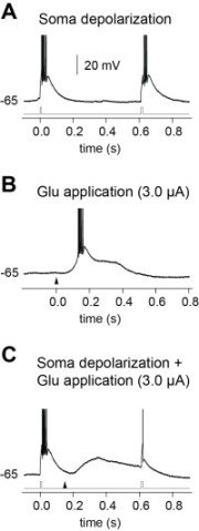 onu FY2013 Annual Report 7