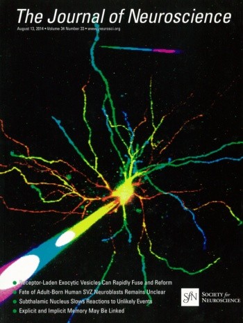 onu FY2014 Annual Report 6