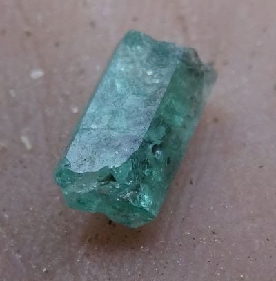 onu FY2018 Annual Report 7