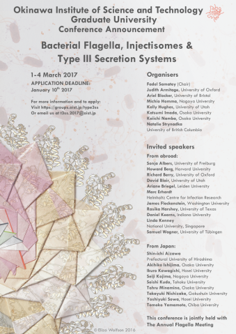 Bacterial Flagella, Injectisomes and Type III Secretion Systems