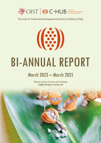 C-HUB BI-ANNUAL REPORT cover image