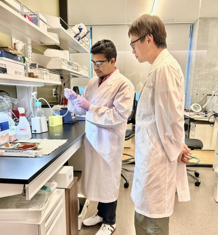 Two people wearing white lab coats working in a laboratory