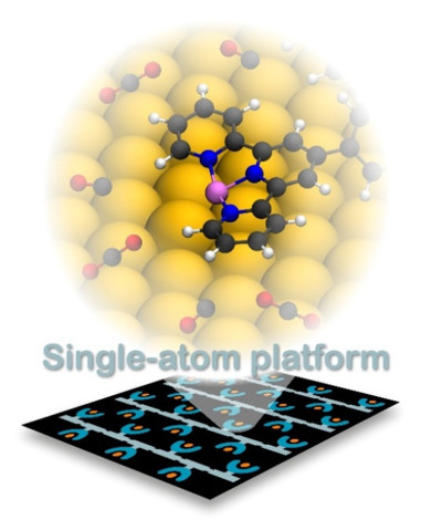 Schematic representation of a cobalt-functionalized terpyridine group that decorates 1D covalent polymers obtained via on-surface synthesis.