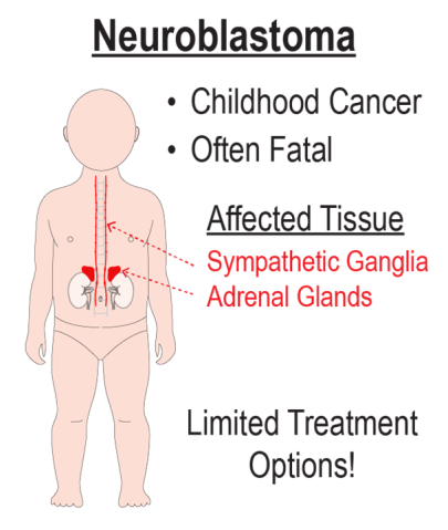 POC project (76 - Meitinger): figure 1