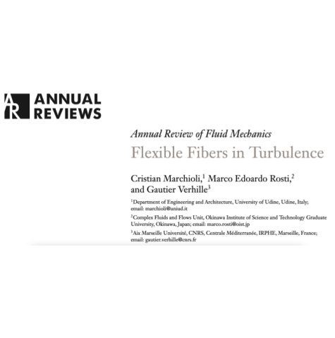 Paper published ARFM2026