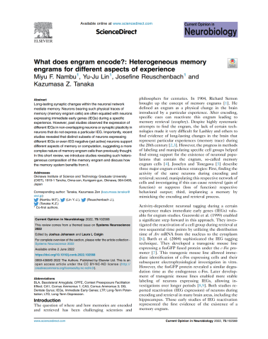 Heterogeneous memory engrams for different aspects of experience