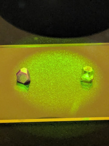 POC project (95 - de Vries): Figure 2