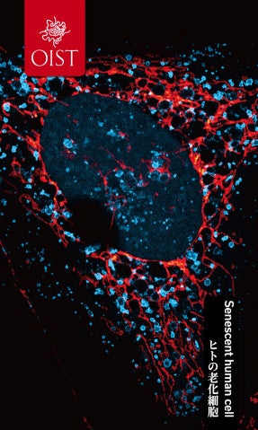 red and blue dots on the dark background