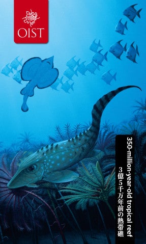 Fish swimming underwater