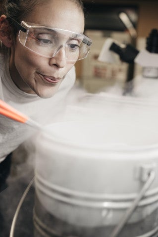 Saacnicteh Toledo Patino : Experiment picture