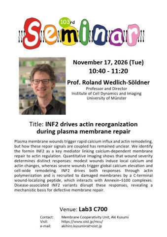 INF2 drives actin reorganization during plasma membrane repair