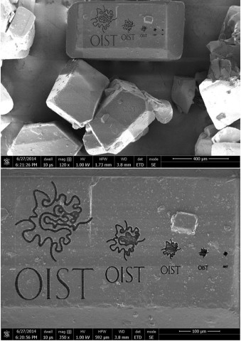 OIST logos on Sugar