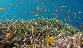 Oceans–and the impact of humans and climate change