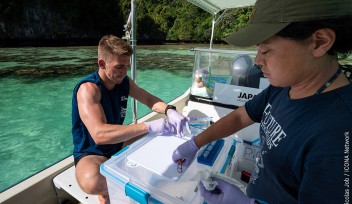 パラオのニッコー湾で標本を作成するOIST海洋気候変動ユニットの博士課程学生ビリー・モアさんと技術員の河合恵理奈さん。