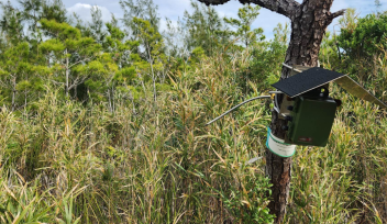 Picture of an acoustic monitoring station, part of the OKEON Churamori project.