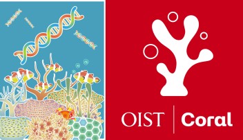 OIST coral project series header 