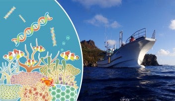 サンゴ調査に革命を：水中ドローンで准深海の環境DNA解析が可能に