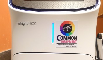 invitrogen iBright FL1500