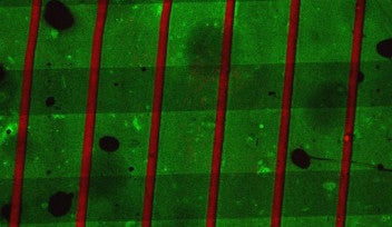 Oct26_device3_print before cells_10X_enlarged(RGB)