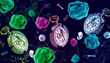 Broken clocks, with shattered glass and escaping springs and pins are represented alongside cancer cells in an abstract image