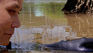 Dr. Ken Maeda looking at a mudskipper that has landed on his hand in Okinawa. Courtesy of Shotaro Maeda. 
