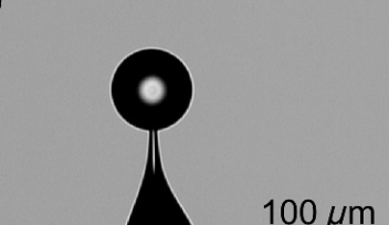 WGM cavity