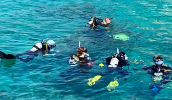 The diving image Photo credit –  Azusa Kinjo
