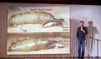 社会性昆虫について説明するベノア･ゲナー研究員（生物多様性･複雑性研究ユニット）