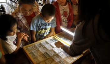 Hiroko Chibana looks at preserved ants with her grandchildren. 