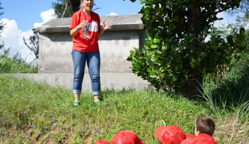 外での植物の観察