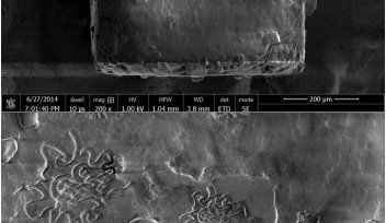 塩粒上のOISTロゴ