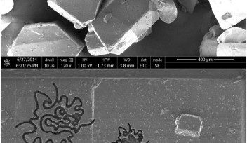 砂糖粒上のOISTロゴの拡大画像